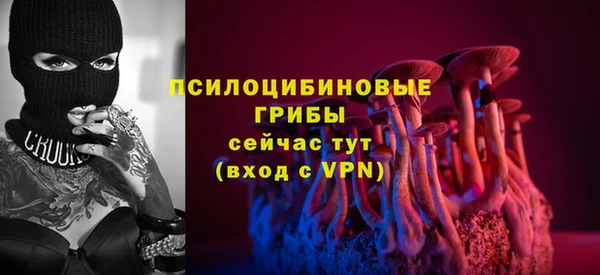 ALPHA-PVP Няндома