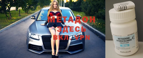 шишки Белокуриха