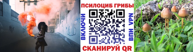 Галлюциногенные грибы Magic Shrooms Белорецк